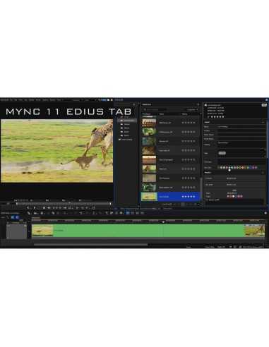 Grass Valley Edius 11 Pro Education