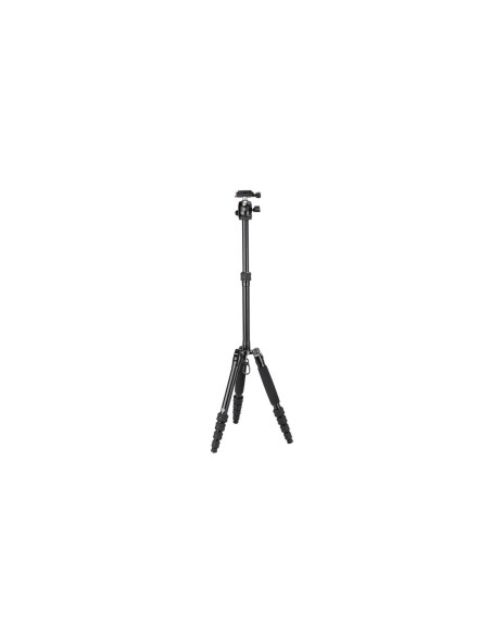 Sirui 5AX Treppiede con Testa a sfera B-00K