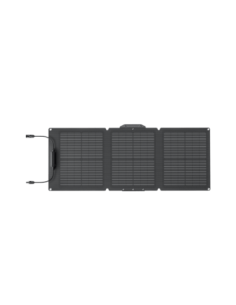 Ecoflow Pannello Solare 60W 2