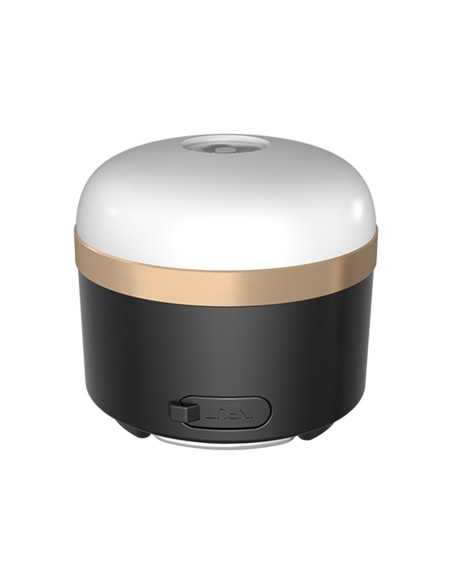 Ecoflow Camping Light
