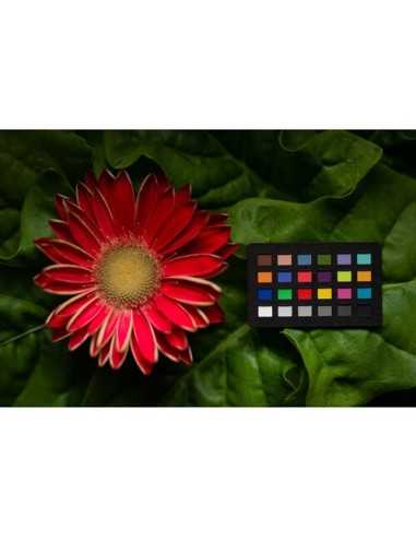 Calibrite ColorChecker Classic Nano