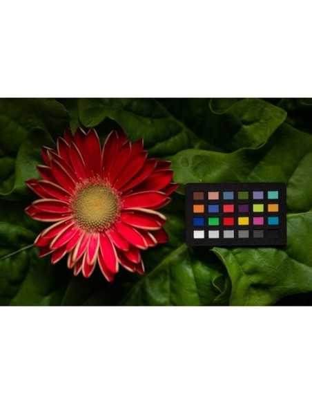 Calibrite ColorChecker Classic Nano
