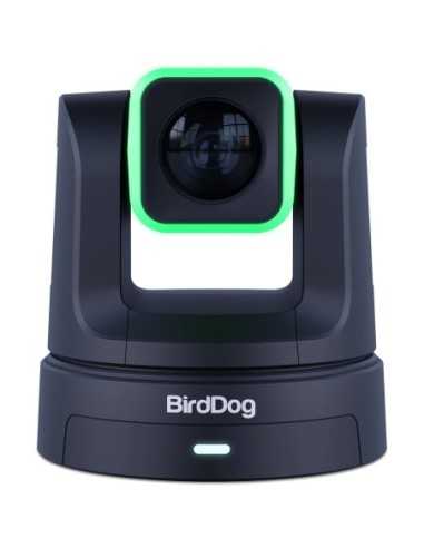 BirdDog X5 Ultra PTZ Camera con 20x Zoom ottico