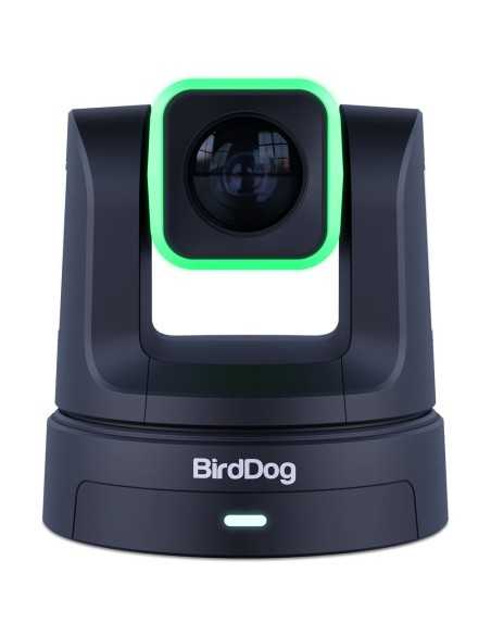 BirdDog X5 Ultra PTZ Camera con 20x Zoom ottico