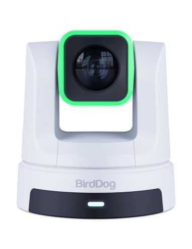 BirdDog X5 Ultra PTZ Camera con 20x Zoom ottico