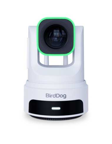 BirdDog X4 Ultra 4K PTZ Camera con AI Tracking