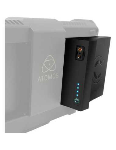 Core SWX Dual NPF style battery pack for 7"...