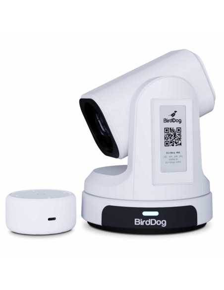 BirdDog Convertitore webcam Pod NDI a USB