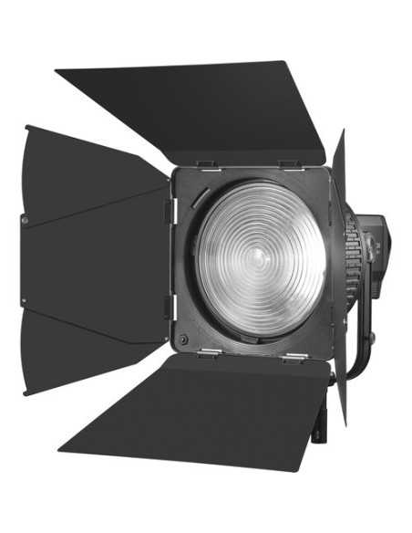 Godox Barndoors per FLS10 Fresnel Lens