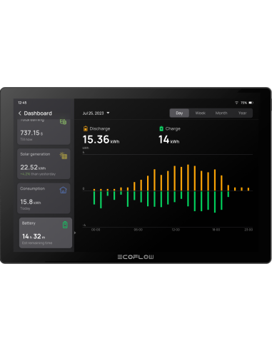 EcoFlow PowerInsight Monitor e gestore...