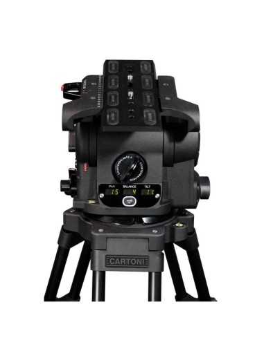 Cartoni FOCUS 12 2-St CF Smart Stop SDS (Testa...