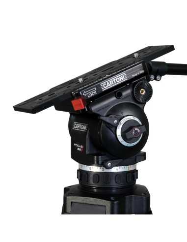 Cartoni C20-S 1-St ALU (Testa H513, treppiede...