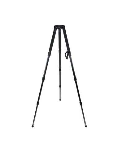 Cartoni FOCUS 10 3-St CF StabilO (Testa HF1000,...