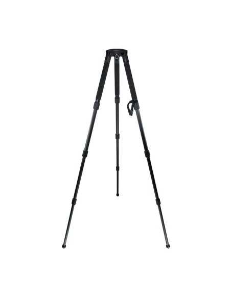 Cartoni FOCUS 10 3-St CF StabilO (Testa HF1000, treppiede T640/C1, sacca C103)