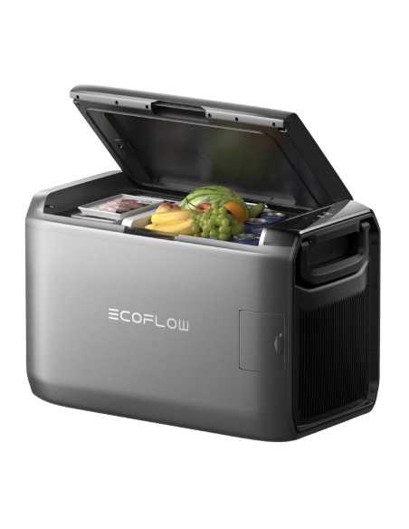 Ecoflow Frigo-freezer portatile Glacier Classic 45L