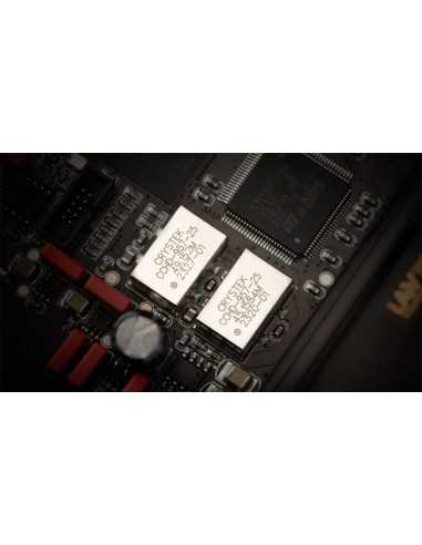 LAiV Harmony DAC R2R Bilanciato a componenti...