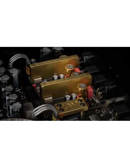 LAiV Harmony DAC R2R Bilanciato a componenti Discreti R2R DAC OS/NOS 768kHz DSD256