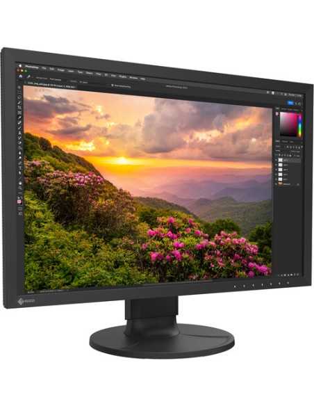 Eizo Monitor CS2400S ColorEdge 24 + EX5 Bundle