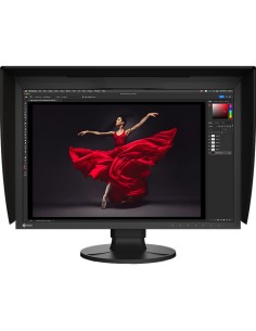 Eizo CG2400SV ColorEdge 61,1 cm (24,1”), 1920X1200, IPS...