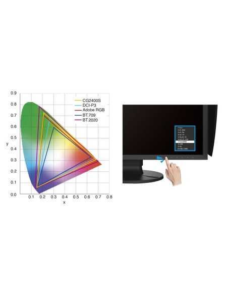 Eizo CG2400SV ColorEdge 61,1 cm (24,1”), 1920X1200, IPS (Wide Gamut)