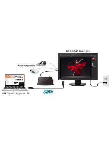 Eizo CG2400SV ColorEdge 61,1 cm (24,1”),...