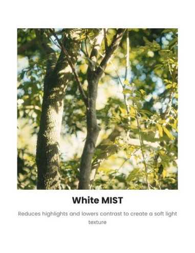 MOFAGE Filtro Insert White Mist 1/4 per POCO