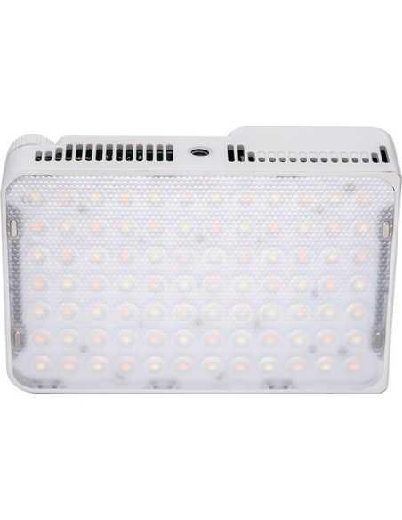 Amaran Kit creator All-in-One Ace 25x Bi-Color Led (Bianco)