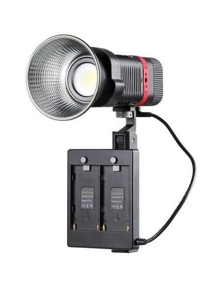 GVM 60W Bi-Color Luce portatile -1 Luce