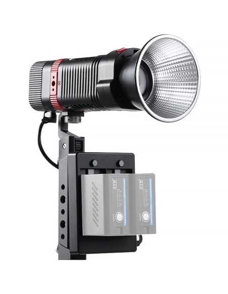 GVM 60W RGB Torcia esterna senza batteria -1 luce