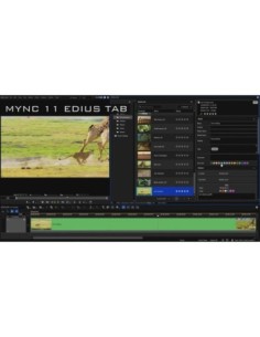 Grass Valley EDIUS 11 Workgroup Upgrade Seconda Licenza 2