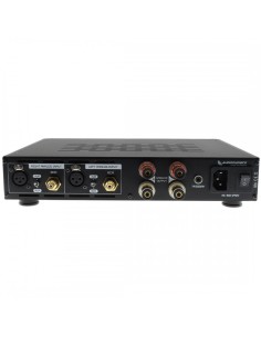 AUDIOPHONICS AP300-S250NCX Power Amplifier NcoreX NCx252MP 2