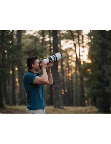 Olympus - Om System M.ZUIKO 150-400mm F4.5 TC1.25x