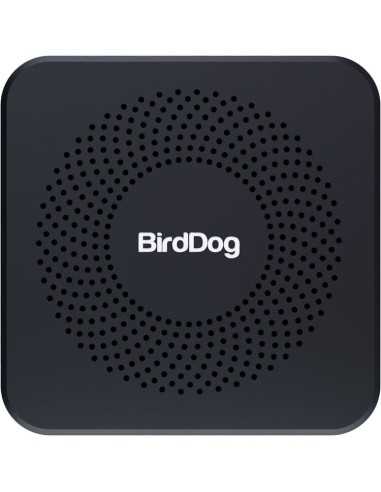 BirdDog PLAY Pro 4K NDI Player
