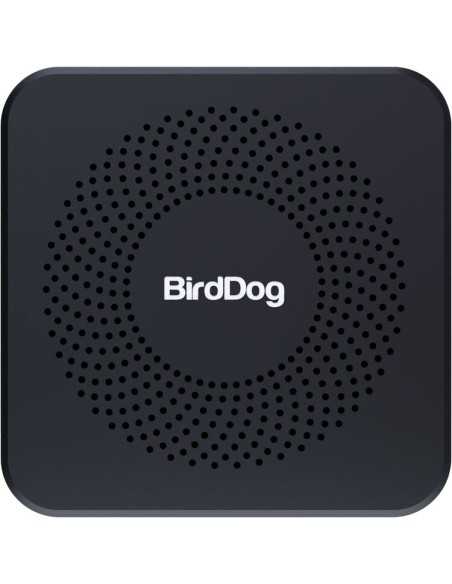 BirdDog PLAY Pro 4K NDI Player