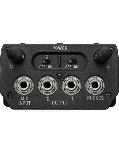 Sony URX-P41D per montaggio su videocamera...