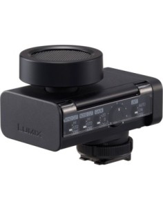Panasonic Lumix DMS1 Microfono