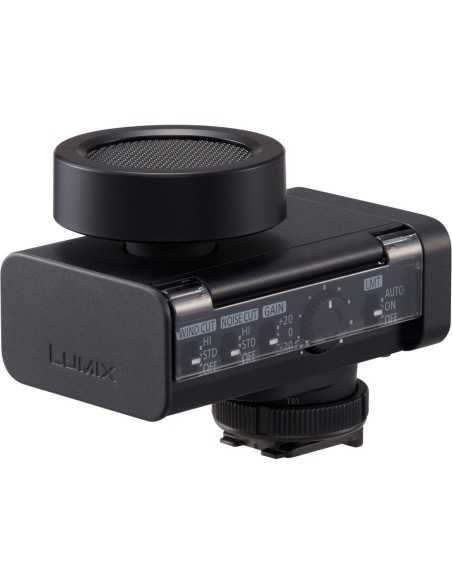 Panasonic Lumix DMS1 Microfono