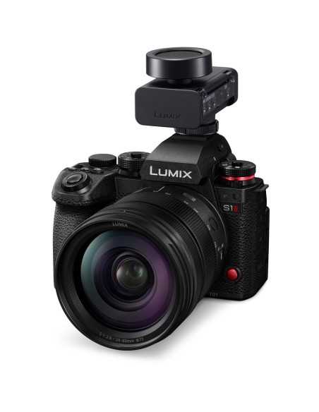 Panasonic Lumix DMS1 Microfono