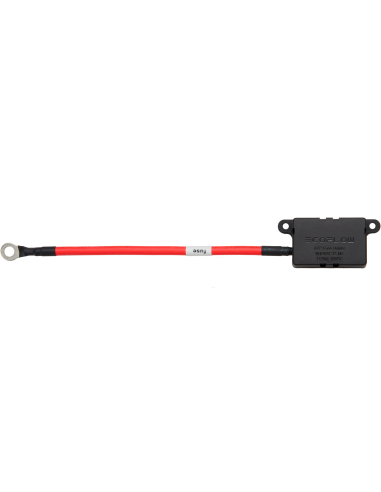 Ecoflow Alternator Charger 2026 1000W