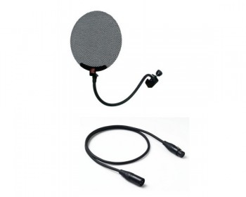 SE ELECTRONICS X1S Studio Bundle