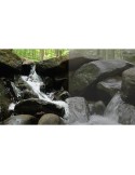 Panasonic V-Log L Function Activation Code for Lumix DMC-GH4 