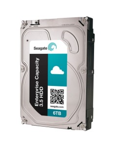 Seagate 6TB (7200RPM) 128MB Server S-ATA3