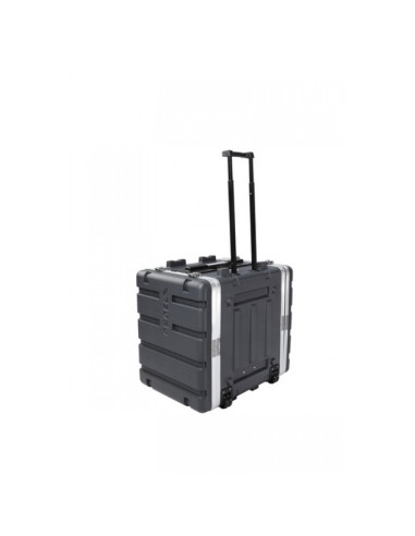 PROEL FOABSR10U custodia a rack 19' - 10 unità...