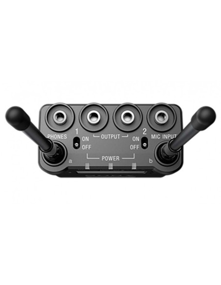 Sony URX-P03D Ricevitore Ricevitore portatile a 2 canali