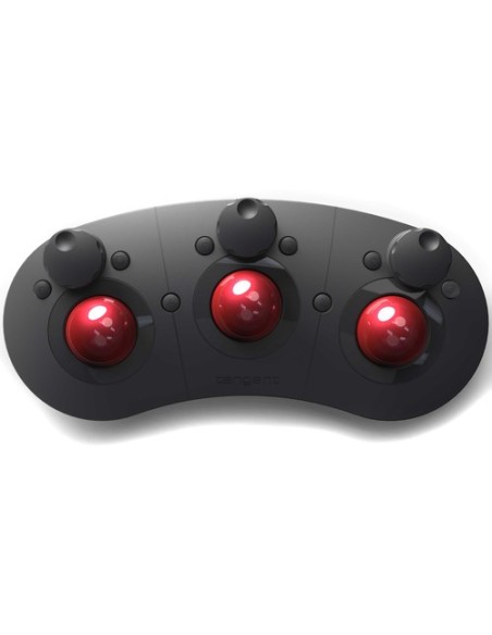Tangent The Ripple Color Correction Panel